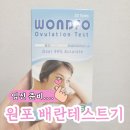 원포 | 임신 준비 중 원포 배란테스트기 내돈내산 후기