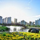 김포금쌀밥집 이미지