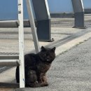 둘리세차장 이미지