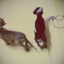 누리아미 이미지