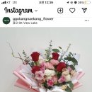 꼬캉내캉