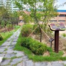 고양화수초등학교 뉴시스