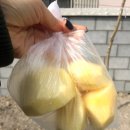 은나식당