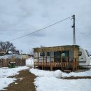 베일리하우스애견펜션 | 강릉 반려견 동반 독채 펜션┃베일리하우스 애견펜션