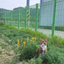 당근Story 이미지