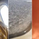 네팔 여객기 내부서 촬영 추정 영상···“재밌다” 외친 뒤 비명·화염 이미지