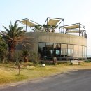 동일리-10 이미지