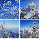 183차 덕유산 향적봉(1,614m) 정기산행안내 이미지