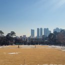고려대학교