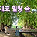 경주숲 3,4 이미지