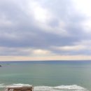 브라운도트사상르네시떼점 이미지