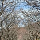 승월경로당 이미지