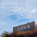 황토오리가마구이식당 | 안동 맛집 안포선 오리아재 능이오리백숙부터 황토구이까지 몸보신 풀코스 후기