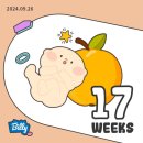 [일상] 잘 놀고 잘 먹고 잘 아픈 17주차 임산부😂