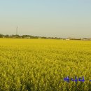 노을농장 이미지