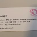 더마블랑 에스테틱