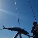 오산항낚시터 이미지