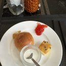 아람목장 | 베트남 나트랑 베나자 판랑 사막투어 데이투어 내돈내산 후기 단체 가족 여행