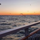 솔찬공원(주차장) 이미지