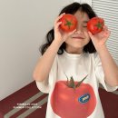 피크닉 이미지