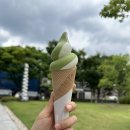 현대티지 | 국현미 옆 카페 추천, 오설록티하우스 현대미술관점 말차 아이스크림 후기