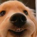 와작와작 이미지