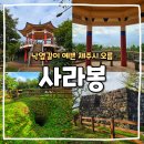 제주 사라봉 일제동굴진지 | 제주시 가을 가볼 만한 곳 제주 사라봉공원 산책로