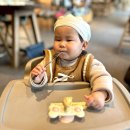 산호동485 | 2025년 1월 일기, 올해도 건강하게 자라다오