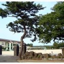 어도초등학교 병설유치원 이미지