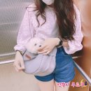 펫클럽하남 | 6월 5째주 일기 (❁´▽`❁)*✲ﾟ* .｡.
