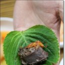 장군순대국 이미지