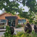 배꼽시계(생선구이) 이미지