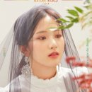 설레이는밤 Daum카페
