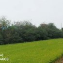 현덕 축구장 이미지