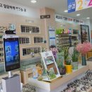 서평로 | K비젼안경 광양읍점에 다녀온 후기! 👓