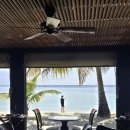 돈이돈이 | 더 레지던스 몰디브 앳 디구라 6박 8일 신혼여행 3일차(+팔루마다이닝룸, 스노쿨링, 롱아일랜드, 기념품...