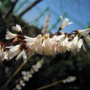 난우중학교 이미지