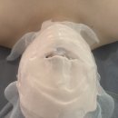 벨라 에스테틱 | 인천 구월동 웨딩관리 잘하는 곳 뉴벨라에스테틱 방문 후기