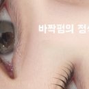 뷰티 더하기