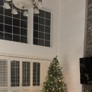 로드 207 이미지