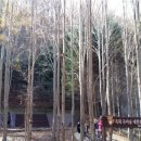 숲해설체험 이미지