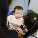 꽃민들레 | 부천드마리스 돌스냅 잘 찍는 노란꽃민들레 사진관 돌잔치 후기