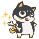 파란짐휘트니스 이미지