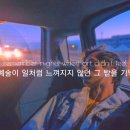 지케이 이미지