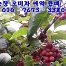 노력농장 이미지