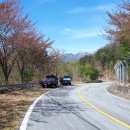 솔나루펜션 이미지