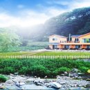 삼나무집펜션 이미지