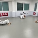 홍제용인대체육관 | 무악재주짓수 아트주짓수 무악재역점 기초부터 탄탄한 주짓수