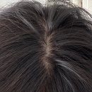 리페어링 이미지