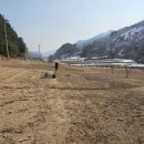 통골농장 이미지